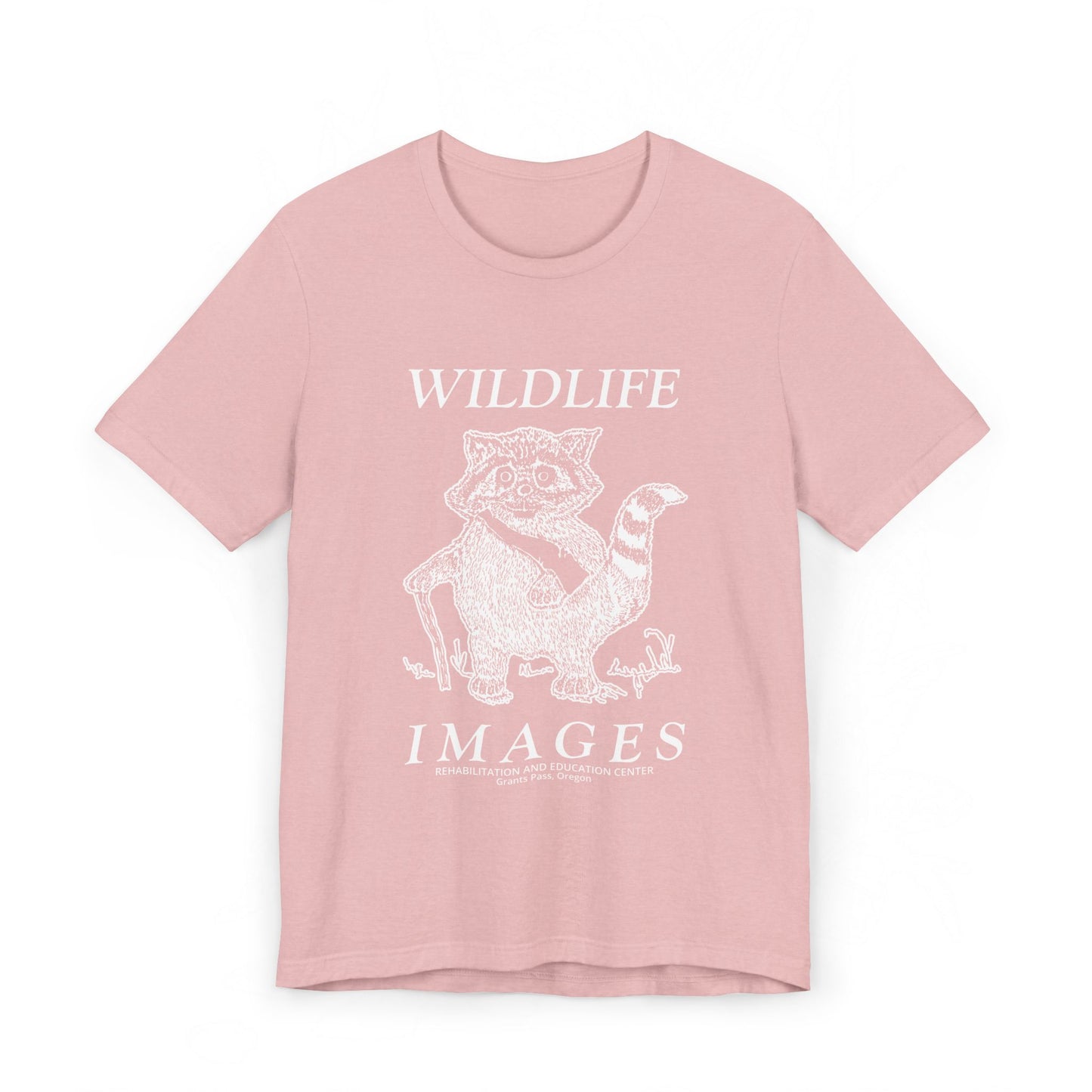 Saving Wildlife - Raccoon Print