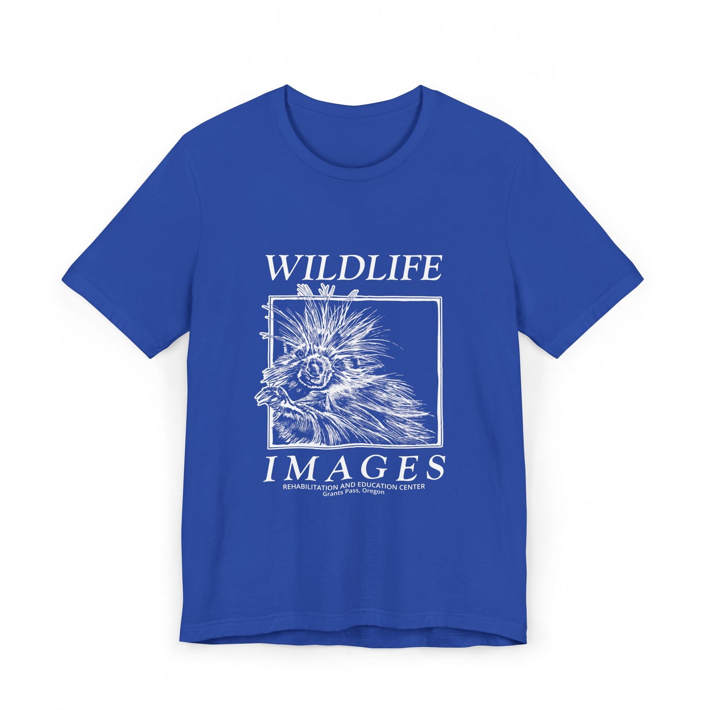 Saving Wildlife - Porcupine Print
