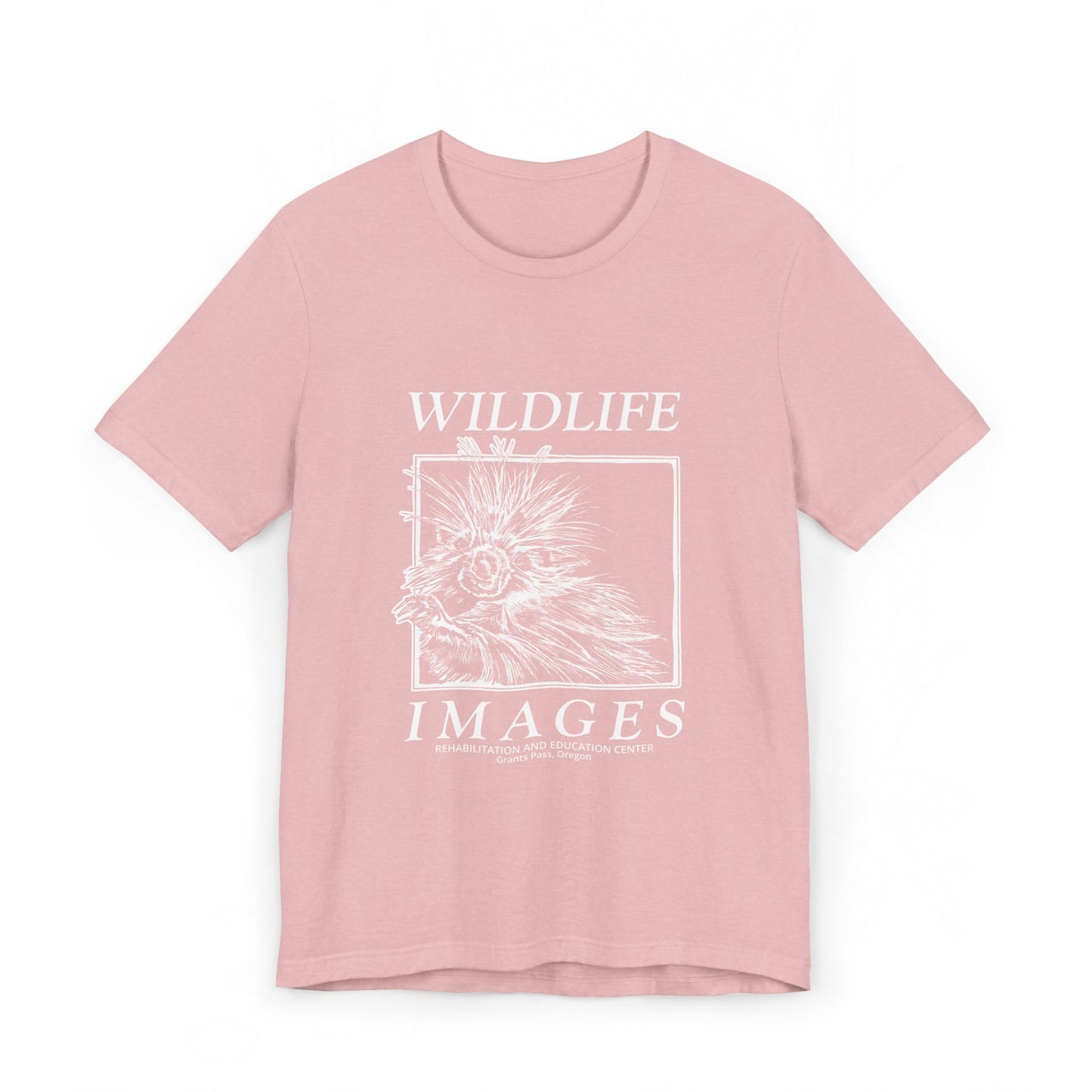 Saving Wildlife - Porcupine Print