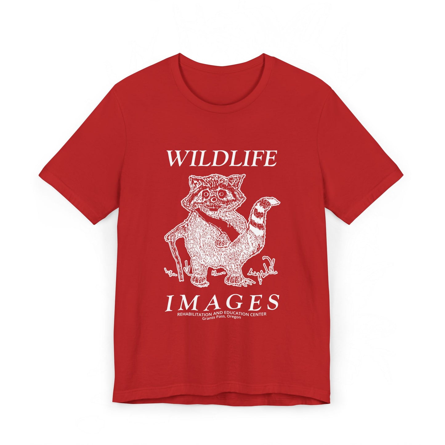 Saving Wildlife - Raccoon Print