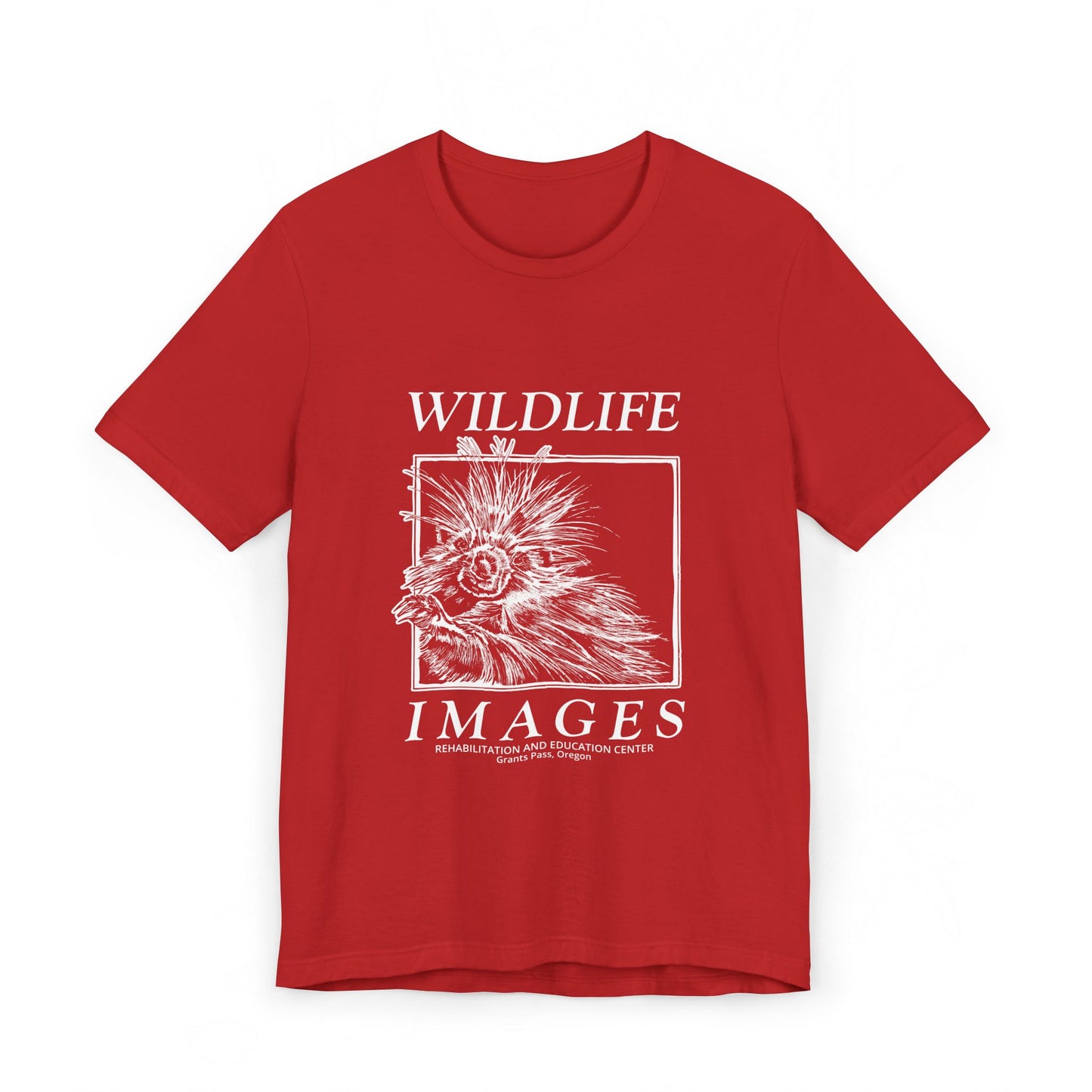 Saving Wildlife - Porcupine Print