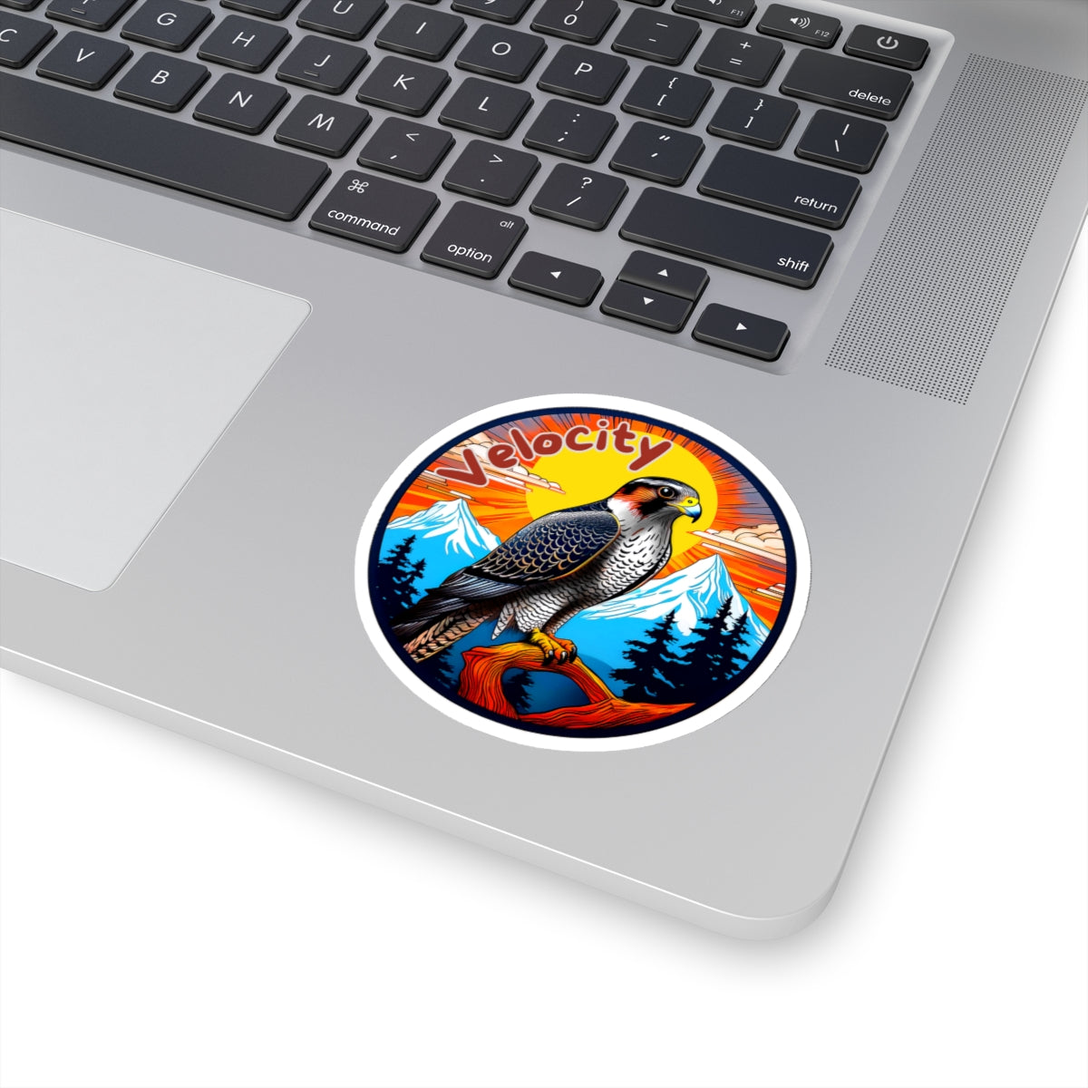 Velocity the falcon Sticker