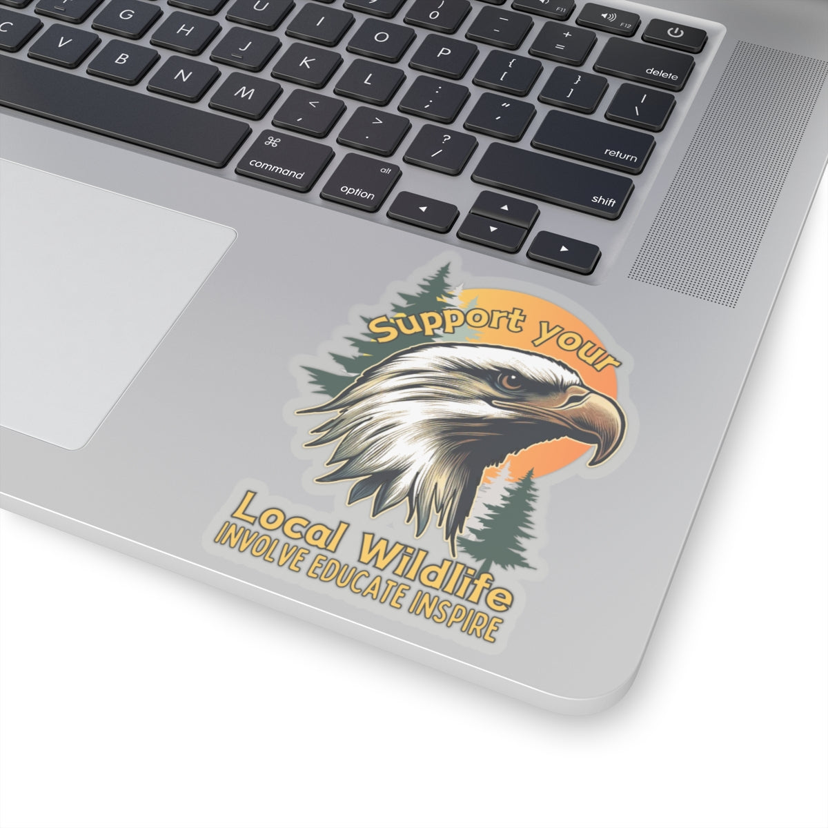 Support your local wildlife - Eagle Sticker