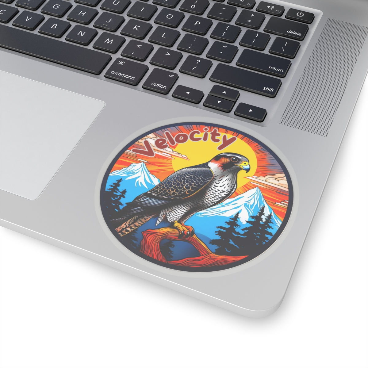 Velocity the falcon Sticker