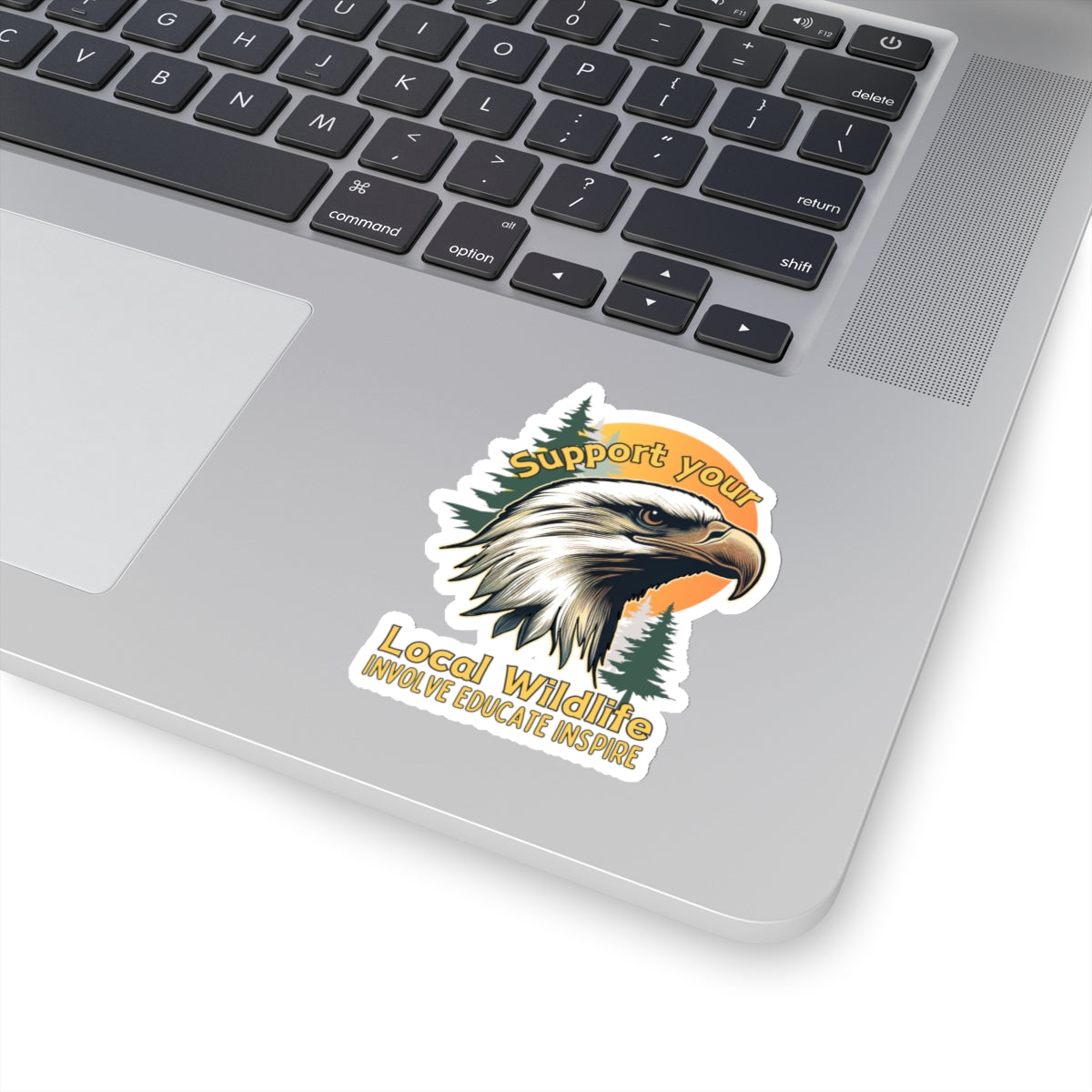 Support your local wildlife - Eagle Sticker