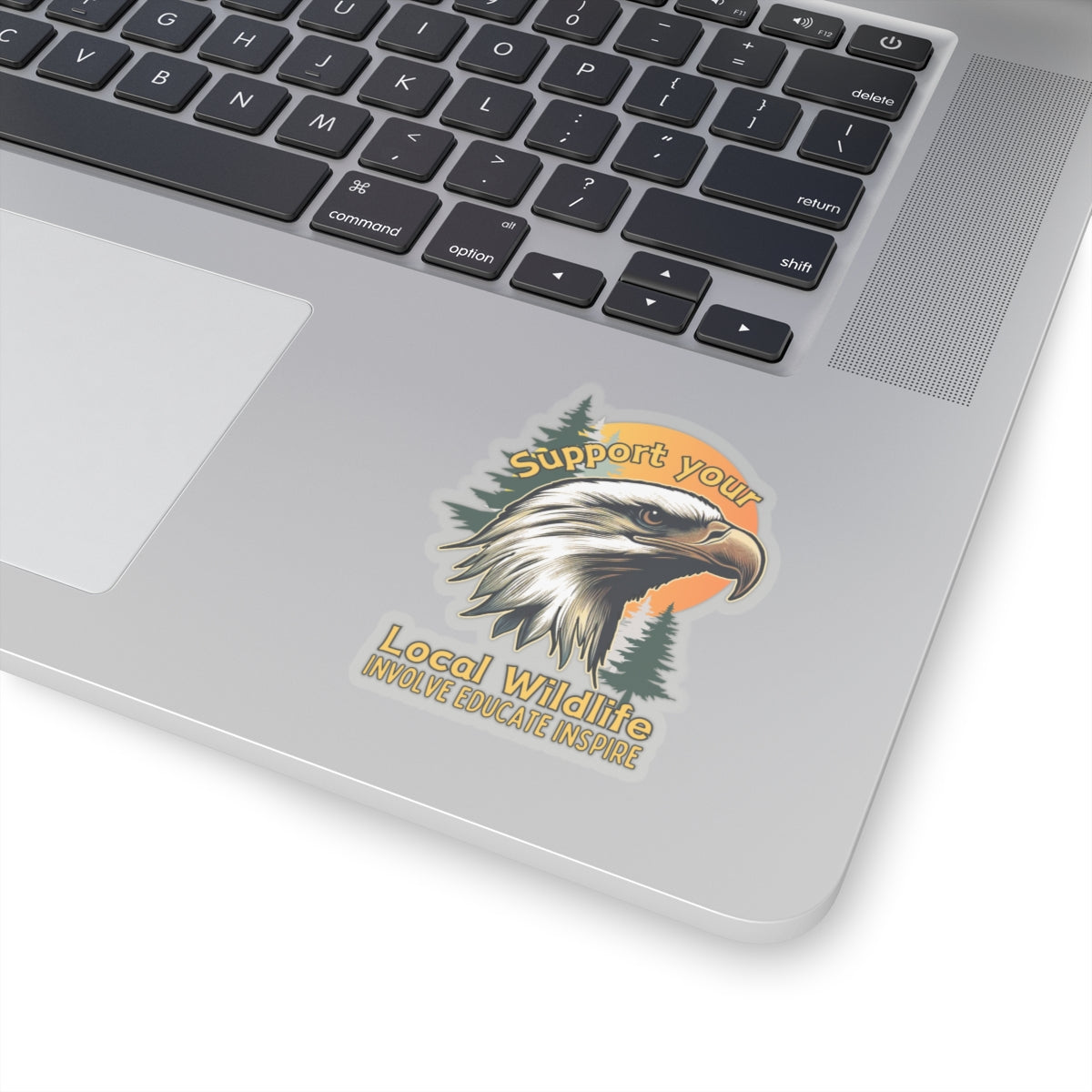 Support your local wildlife - Eagle Sticker